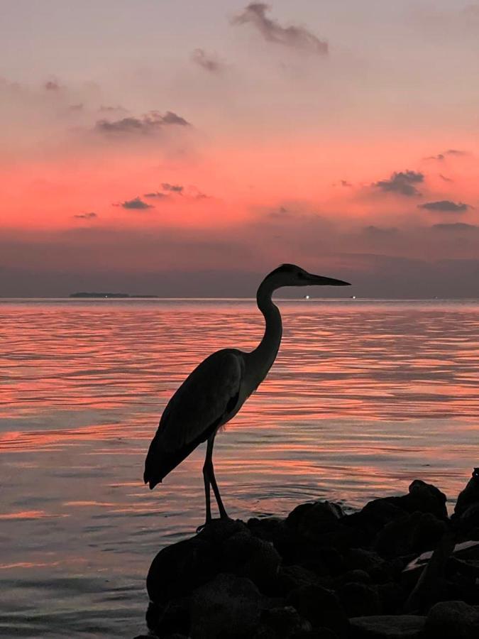 Raalhu Dhangethi Bed and Breakfast Buitenkant foto